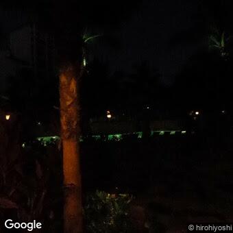 PogoMap.Info - Pokestop - Disney Aulani   Flying Man Sculpture