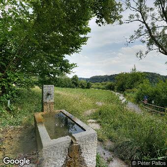 PogoMap.Info - Pokestop - Türlersee Brunnen 1953