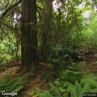 PogoMap.Info - Pokestop - Salmon Spawning Viewpoint